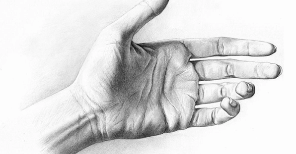 Bí kíp vẽ bàn tay chân thực: Hướng dẫn chi tiết cho mọi trình độ