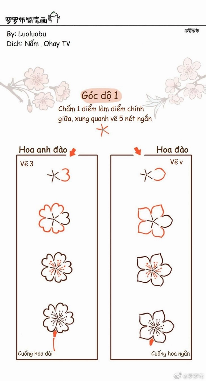 Bình hoa với nhiều loại hoa và lá được vẽ chi tiết