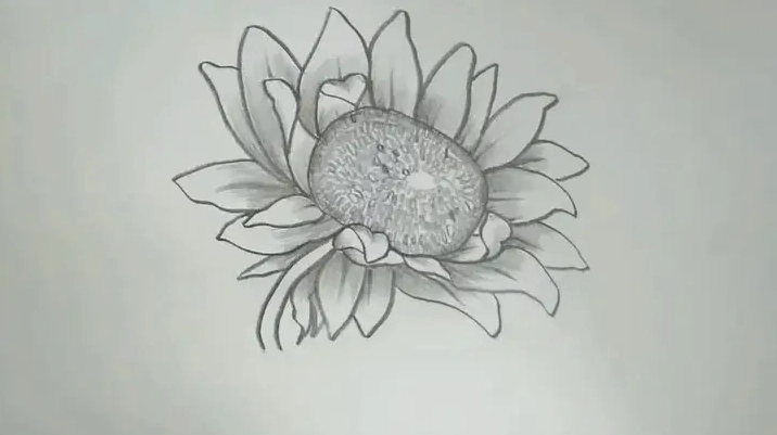 Cách Vẽ Hoa Hướng Dương