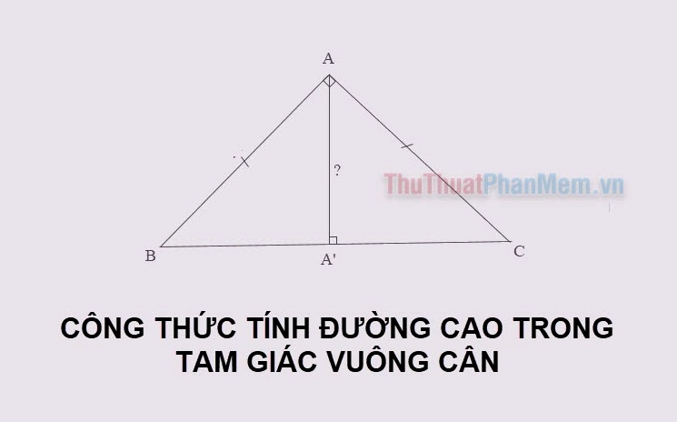 Đường cao trong tam giác vuông cân