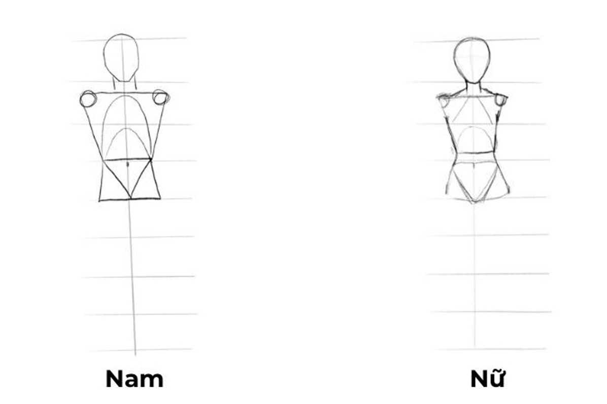 Nối liền phần ngực và hông để tạo dáng người