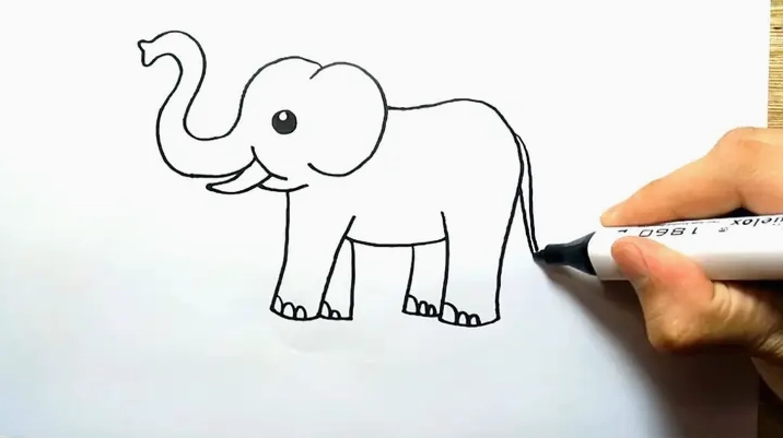 Phác thảo hình dáng cơ bản của con voi