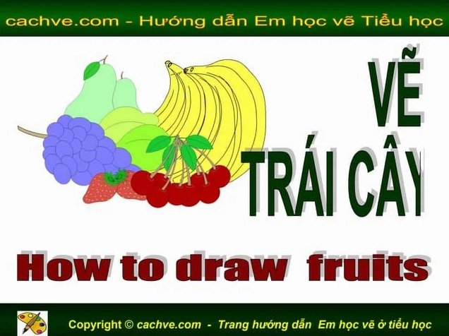 Tranh tĩnh vật với các loại trái cây được vẽ bằng màu chì