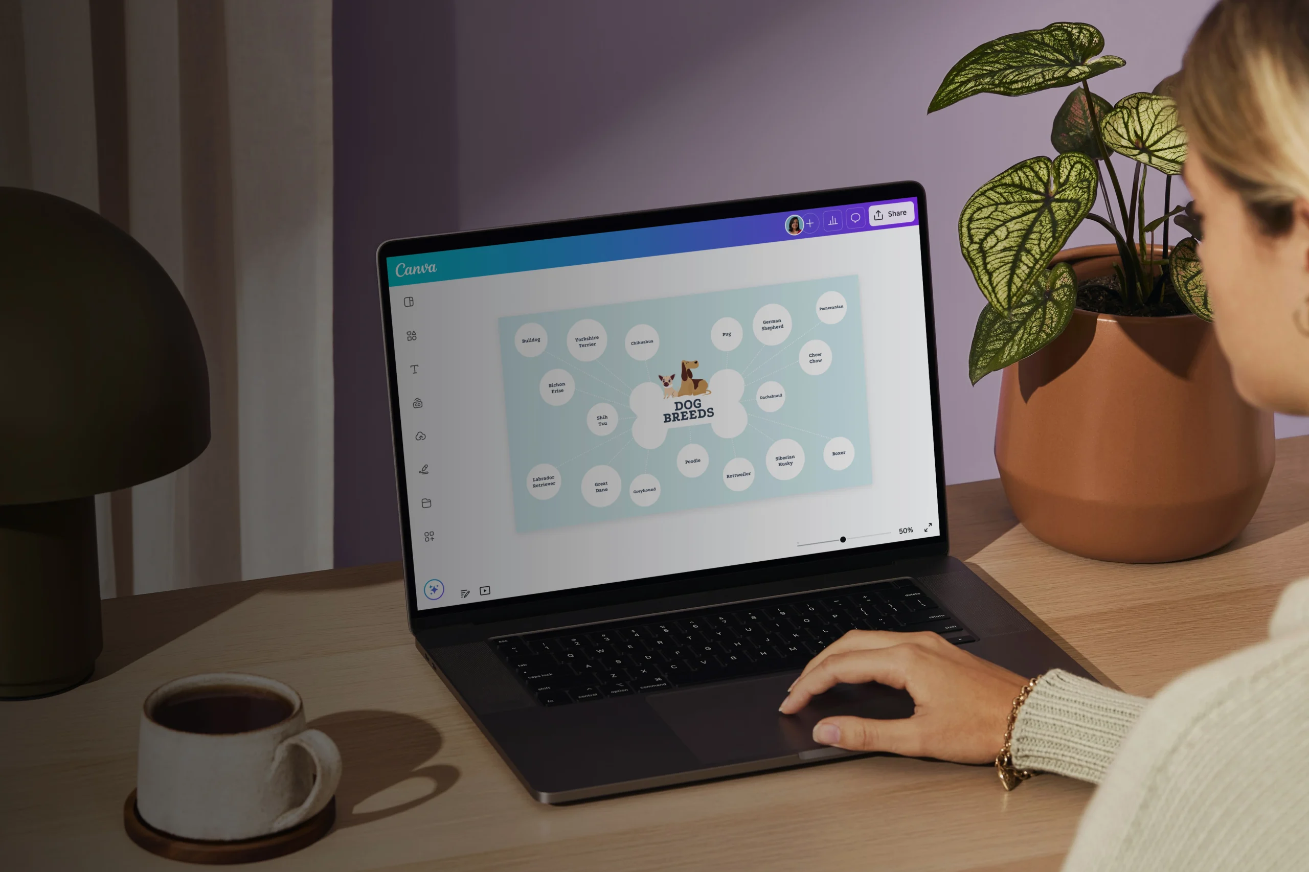 Trình tạo biểu đồ bong bóng online miễn phí