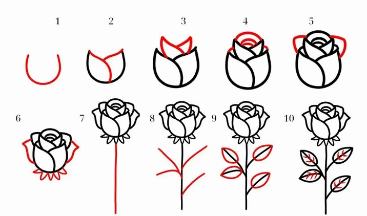 Vẽ các cánh hoa bên ngoài của hoa hồng