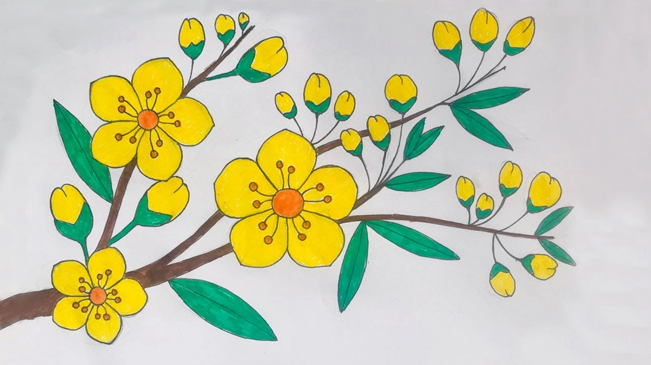 Vẽ hoa mai ngày tết | Cách vẽ hoa mai | Mai vàng ngày tết