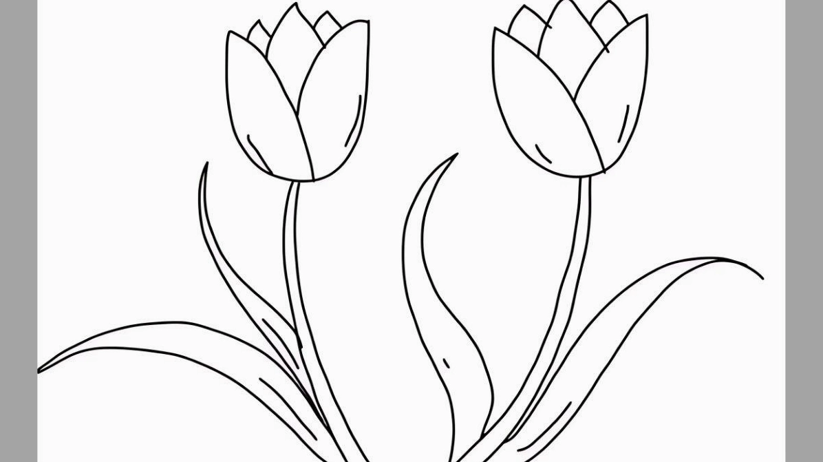 Vẽ hoa tulip chi tiết bước 1