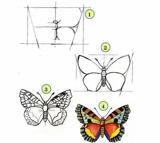 Bí Kíp Vẽ Bướm 3D: Hướng Dẫn Chi Tiết Cho Người Mới Bắt Đầu