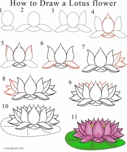 Bí Kíp Vẽ Hoa Sen Nhỏ Đẹp Ngỡ Ngàng Chỉ Trong 5 Phút!