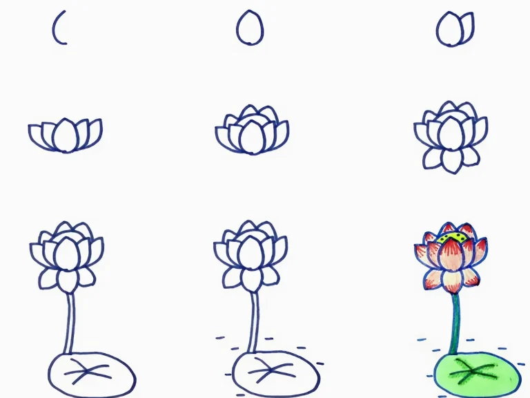 Bí quyết vẽ bông sen đẹp: Hướng dẫn chi tiết từ A-Z