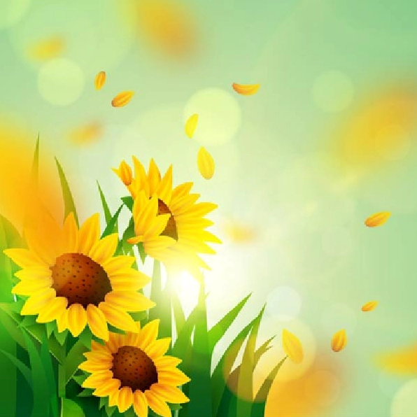 Bí Quyết Vẽ Hoa Hướng Dương Đơn Giản: Hướng Dẫn Từ A-Z