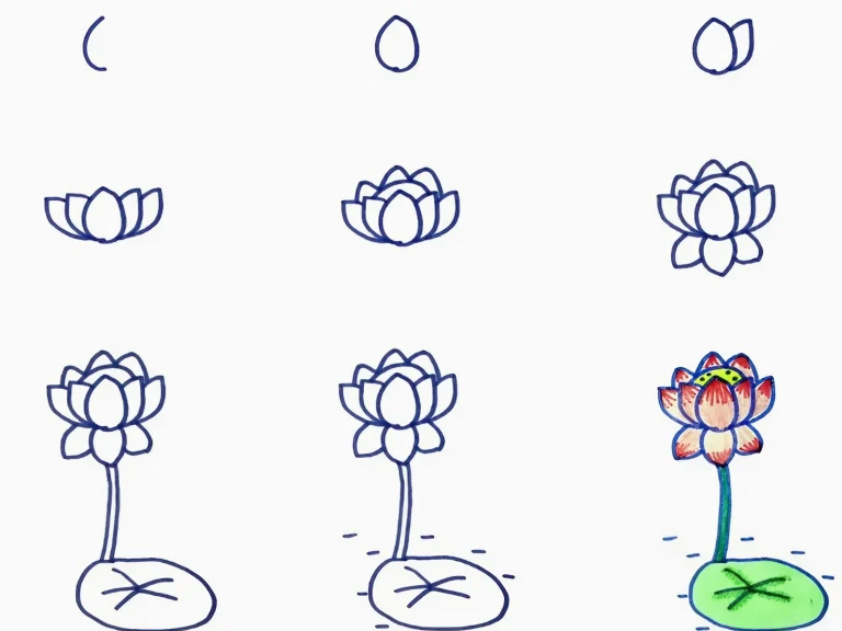 Bí Quyết Vẽ Hoa Sen Đơn Giản Nhất: Hướng Dẫn Chi Tiết Từ A-Z