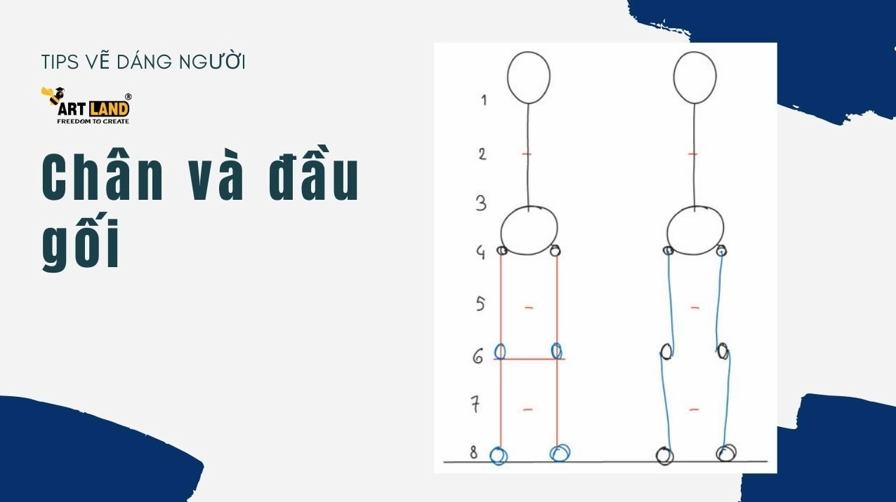 Các bộ phận của cơ thể người bao gồm cả bàn tay