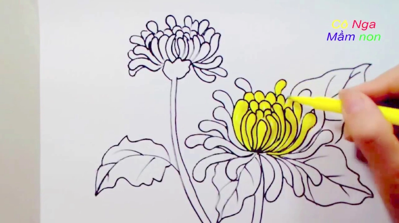 Cách vẽ bình hoa cúc