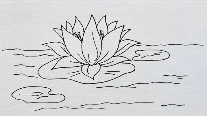 Cách Vẽ Bông Sen