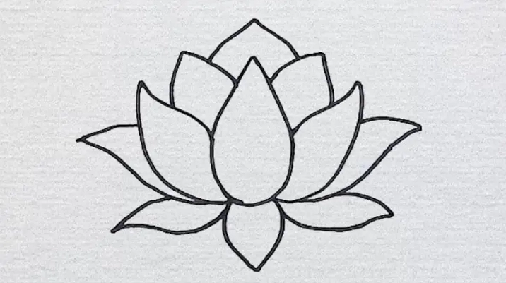 Cách Vẽ Bông Sen