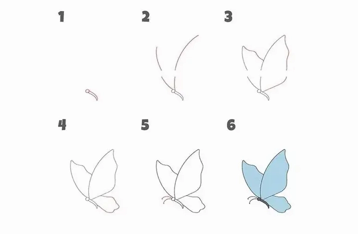 Cách Vẽ Bướm Đơn Giản sau khi tô màu