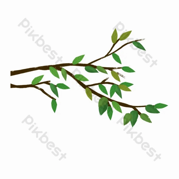 Cách Vẽ Cành Cây: Hướng Dẫn Chi Tiết Từng Bước Cho Người Mới
