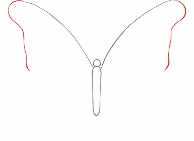 Cách vẽ con bướm bước 3