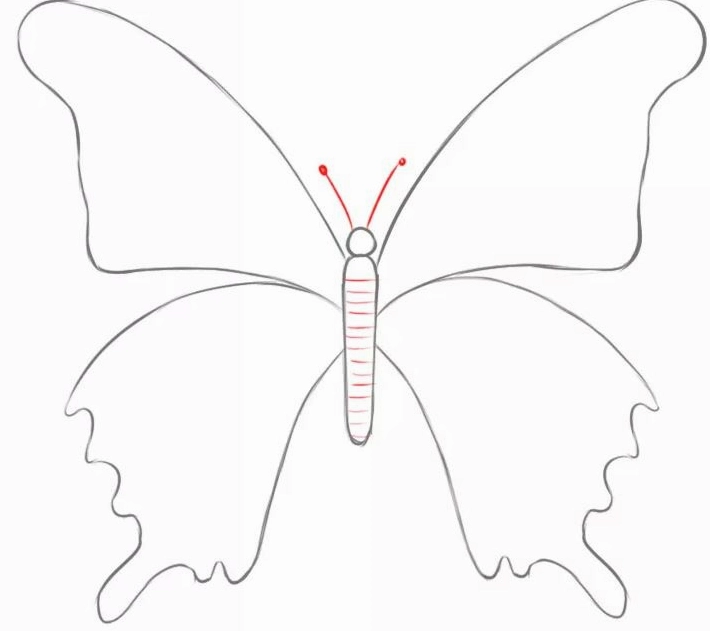 Cách vẽ con bướm bước 8