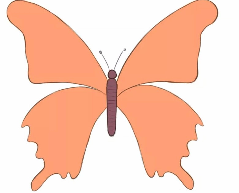 Cách vẽ con bướm bước 9