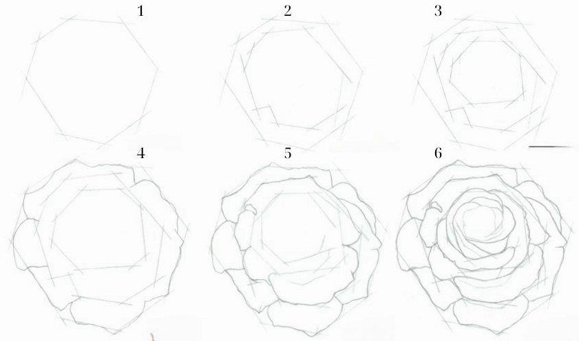 Cách vẽ hoa hồng 3D bằng bút chì