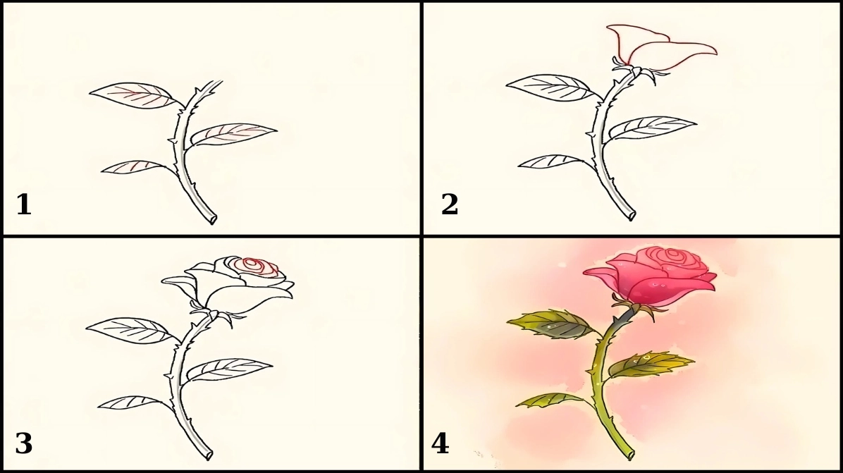 Cách vẽ hoa hồng nghiêng có thân và lá đầy đủ
