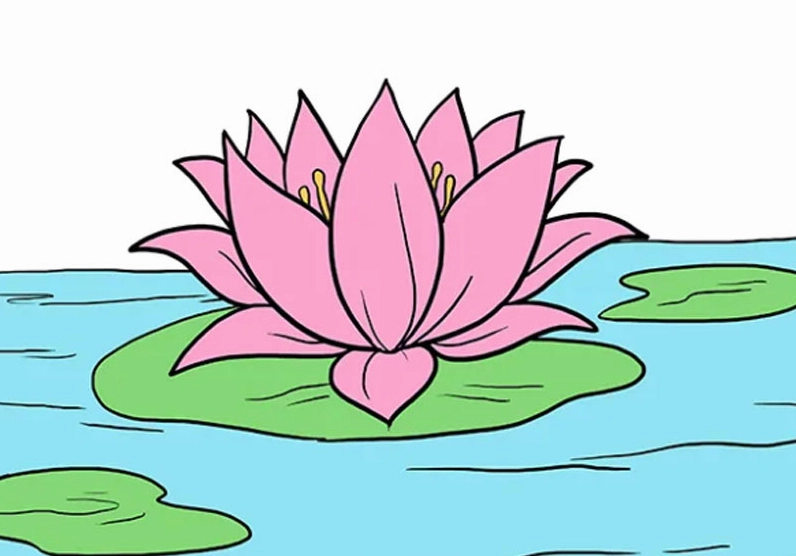 Cách vẽ hoa sen đơn giản nhất cho người mới bắt đầu