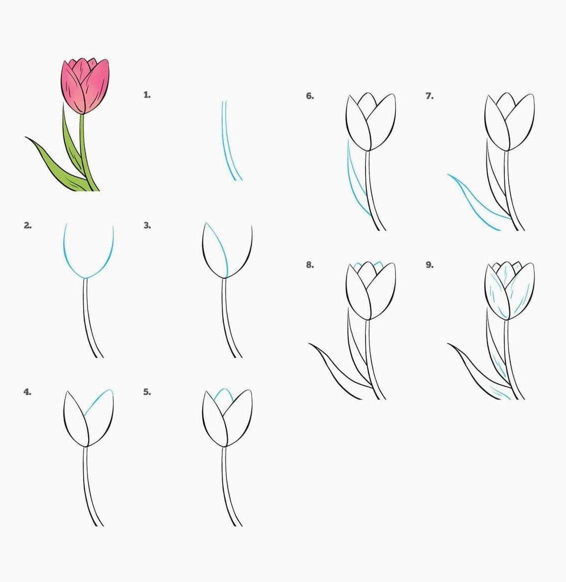 Cách vẽ hoa tulip đẹp bằng màu nước