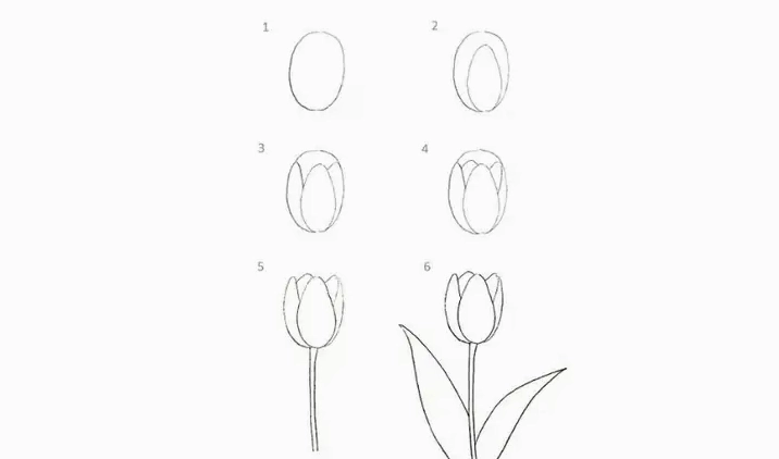 Cách Vẽ Hoa Tulip Đơn Giản