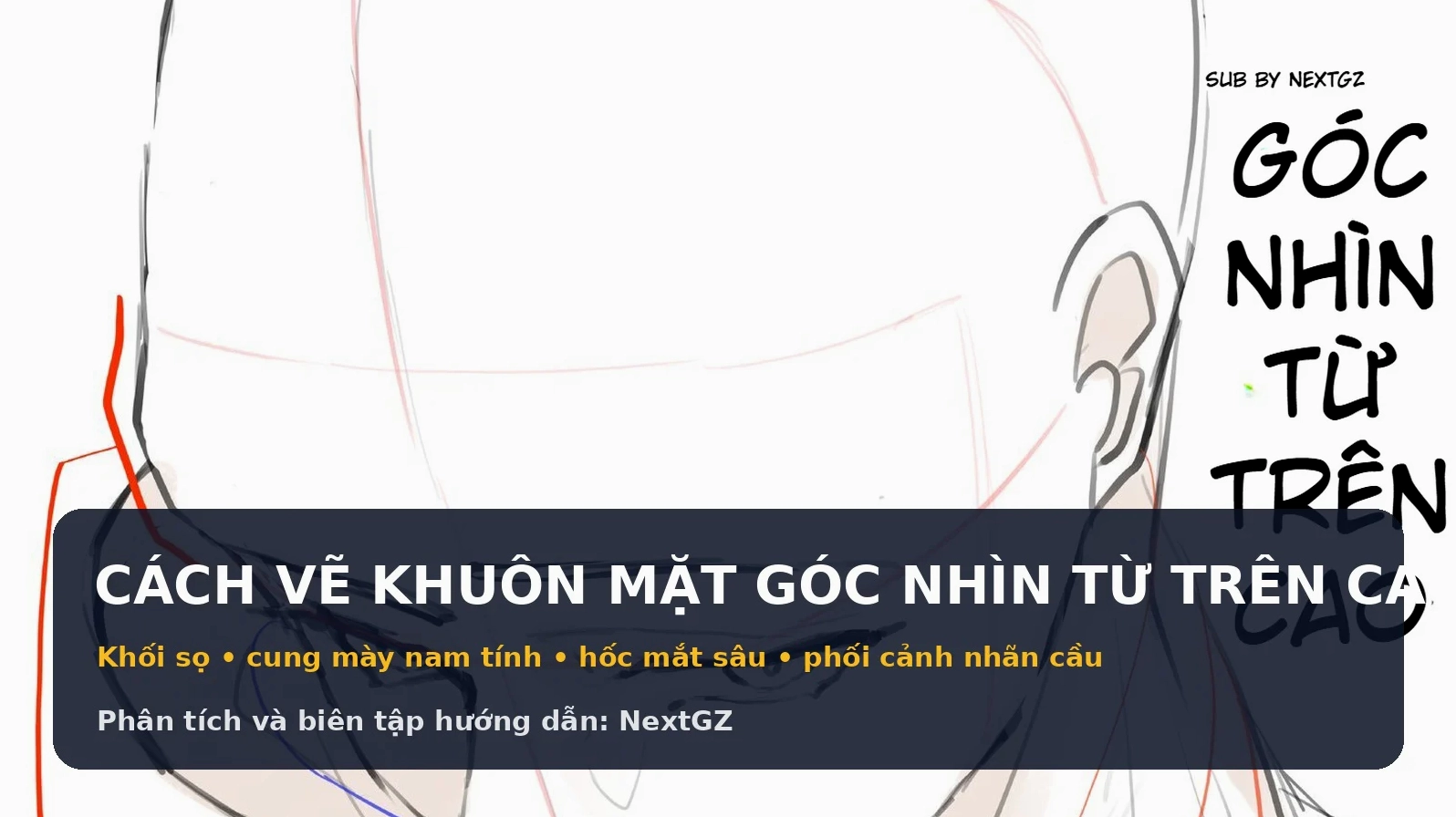 Cách vẽ khuôn mặt góc nhìn từ trên cao: Khối sọ, hốc mắt sâu và cấu trúc nam tính