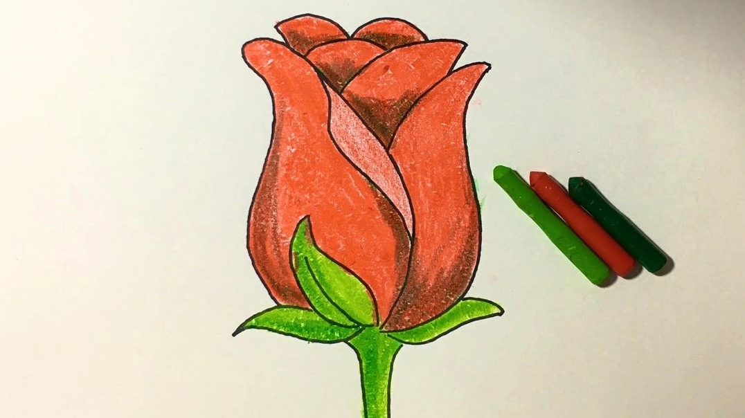 Cách vẽ một bông hồng đang nở 3D