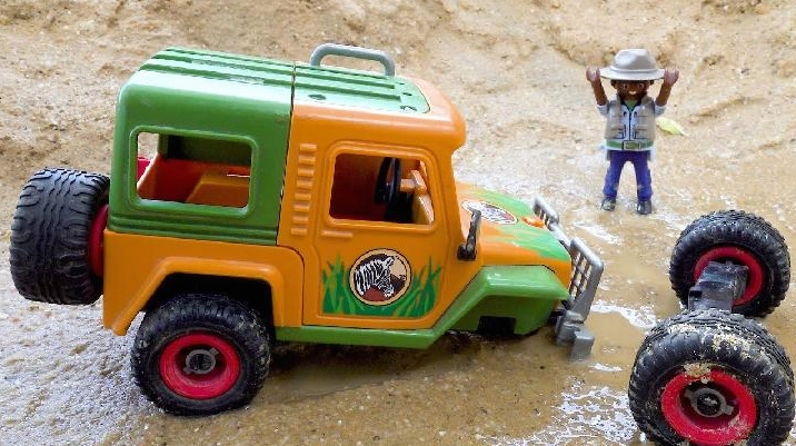 Chùm trái cây với nhiều màu sắc
