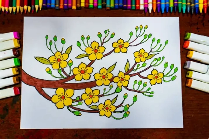 Dạy cách vẽ hoa mai đẹp và ý nghĩa
