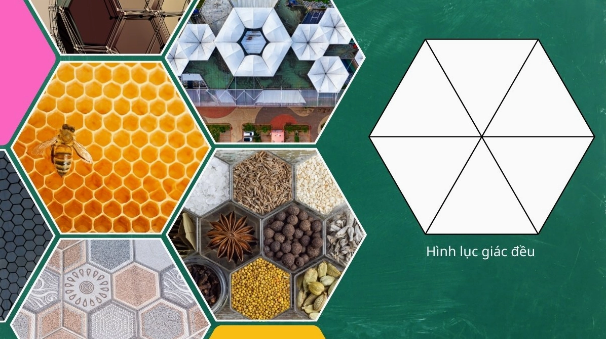 Định nghĩa hình lục giác đều và cách xác định đỉnh