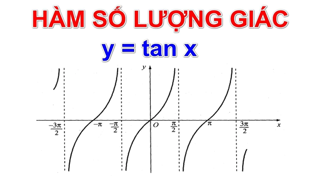 Đồ thị hàm số y = x²