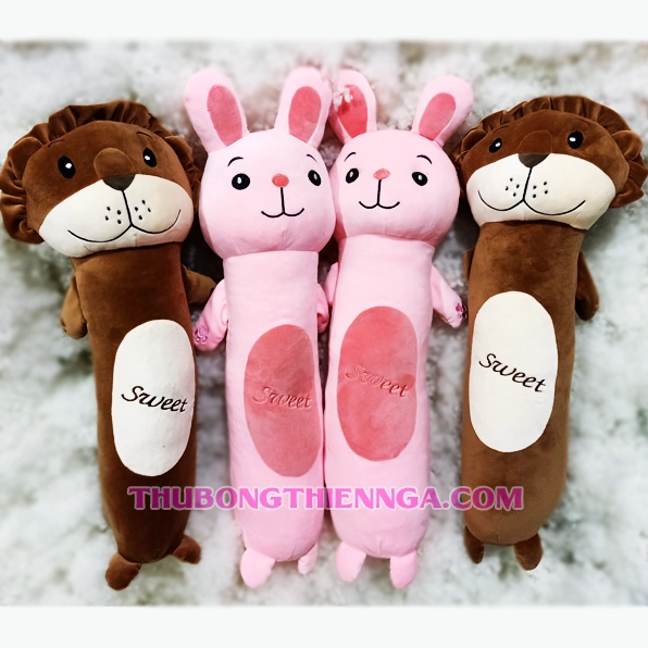 Gấu bông nhiều màu sắc