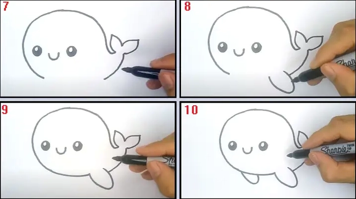 Hình ảnh gần gũi của cá voi