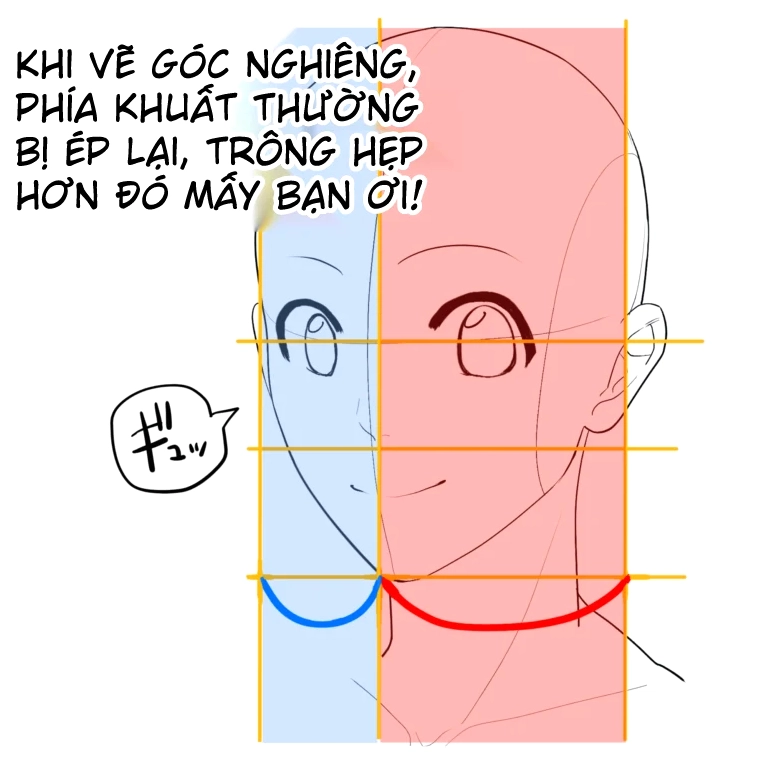 Hoàn thiện bản vẽ đầu người nữ