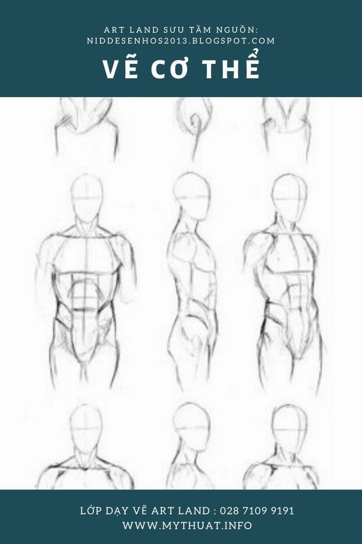 Hướng dẫn vẽ anatomy anime chi tiết