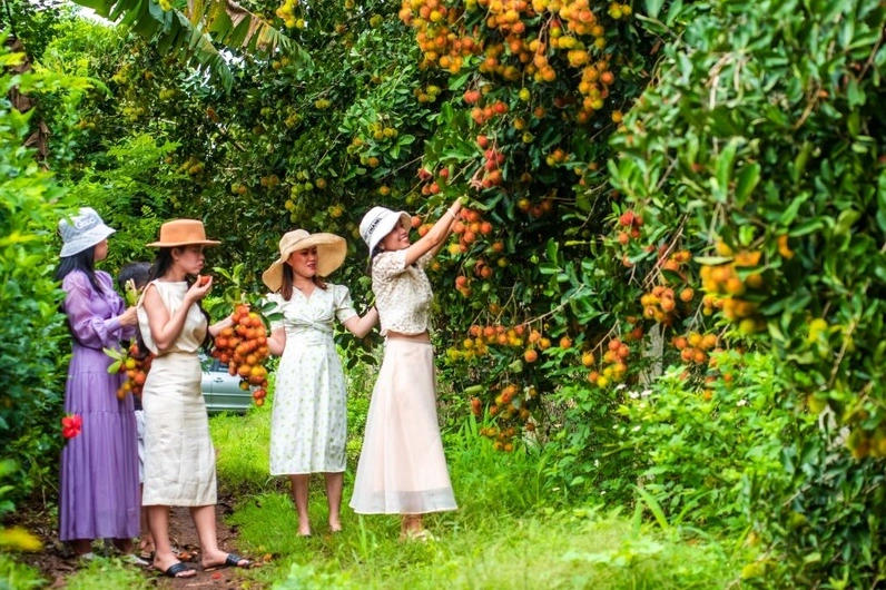 Kiến trúc cổng vào Văn Miếu Trấn Biên uy nghiêm và cổ kính