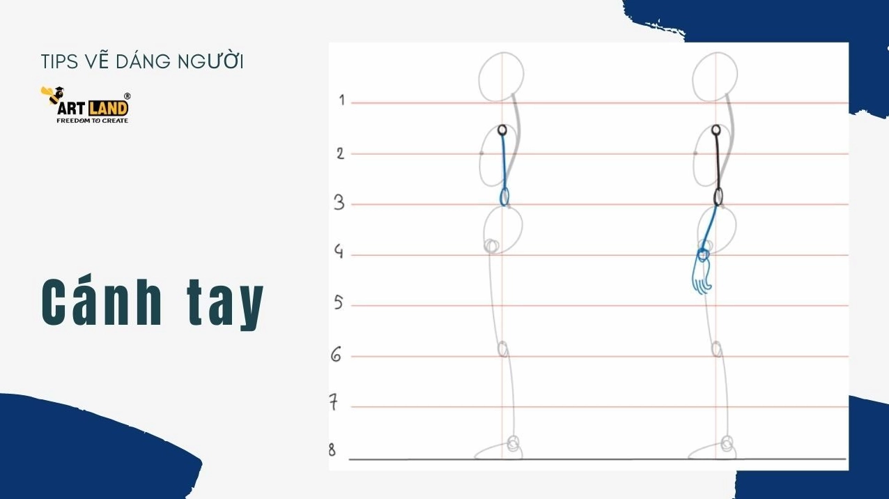 Minh họa các tư thế khác nhau của body nam