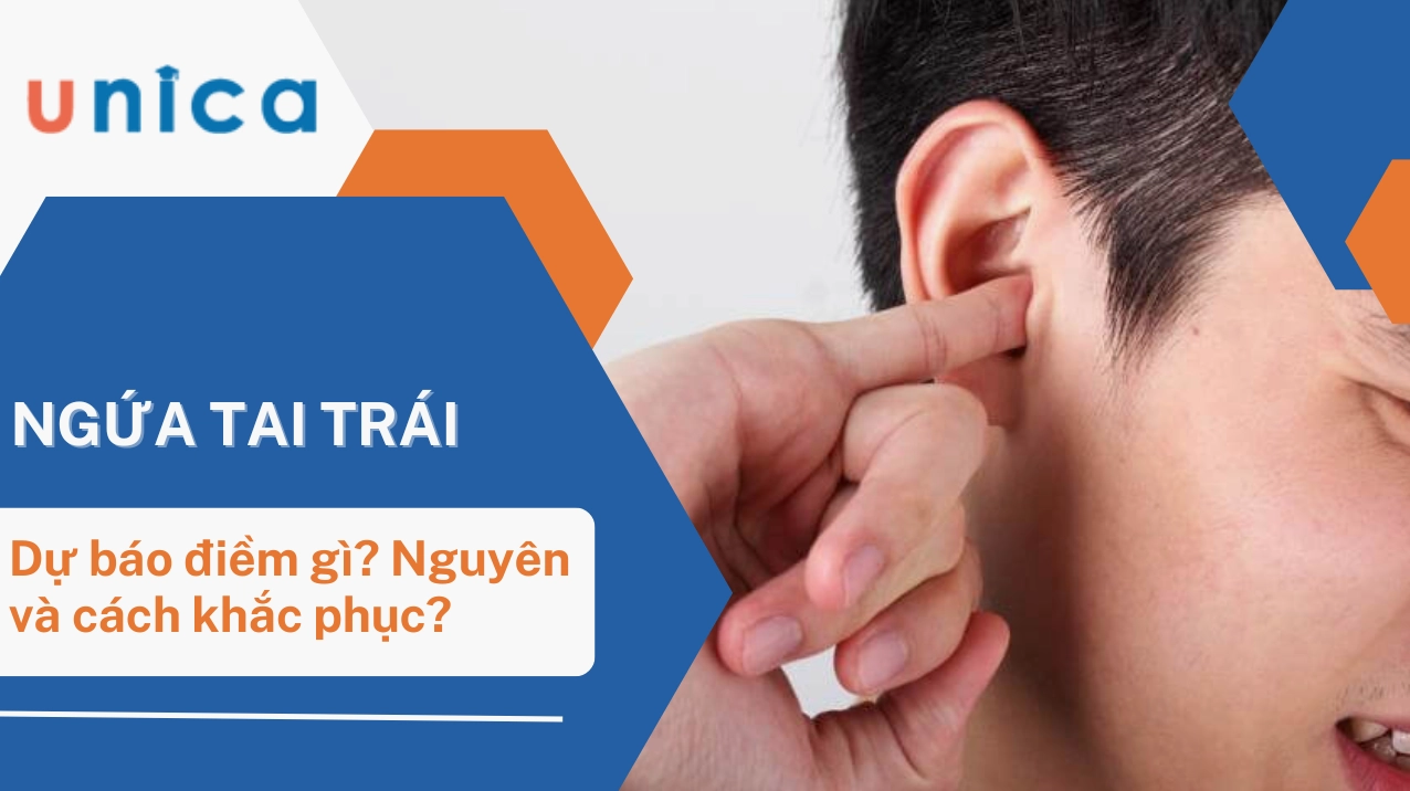 Minh họa cách vẽ tai người bằng bút chì