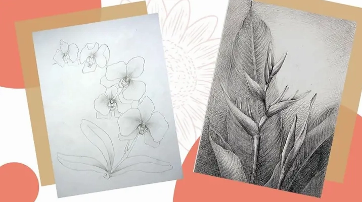 Minh họa hoa cách điệu đơn giản