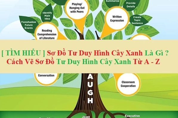 Minh họa sơ đồ tư duy cách vẽ cây xanh