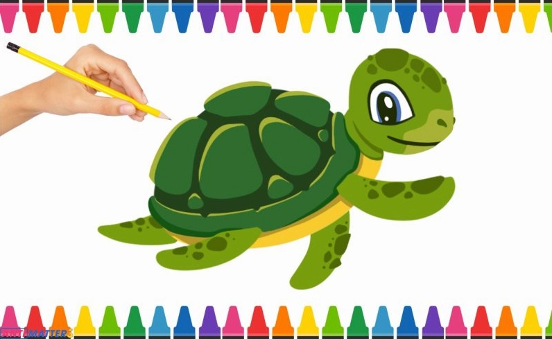 Mô tả quá trình vẽ từng bước