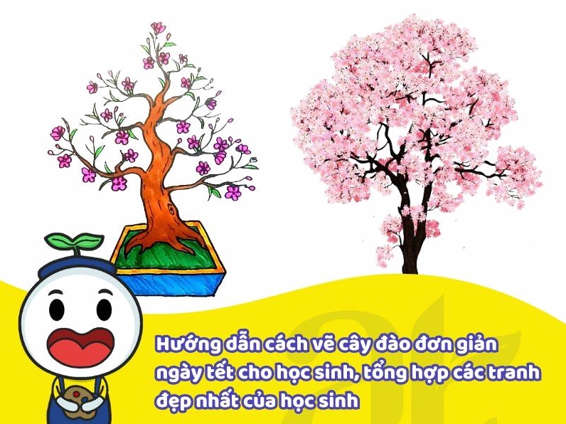 Phác thảo cấu trúc cành đào