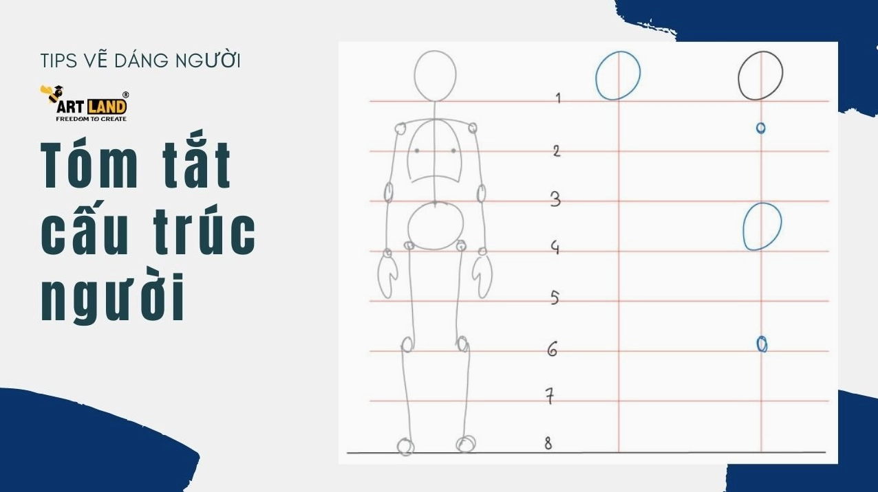 Phác thảo cấu trúc cơ bản của body nam với các khối hình học