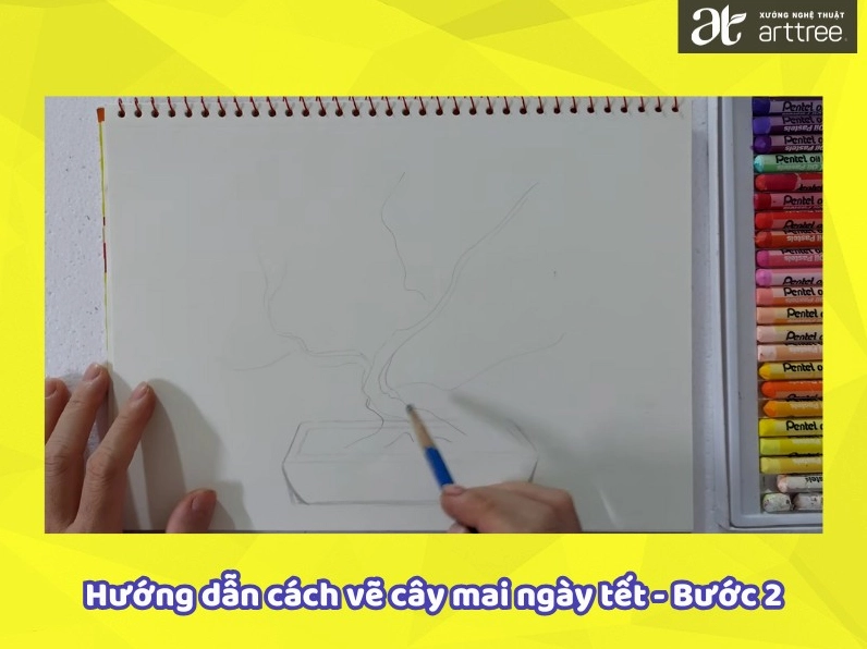 Phác thảo đường cong thân và cành cây mai