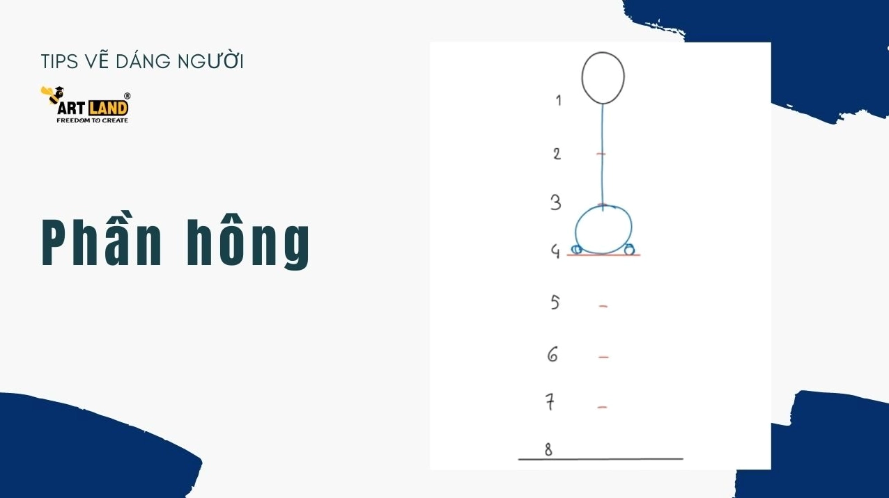 Phác thảo phần hông và chân của body nam